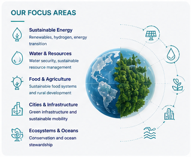 Our focus areas